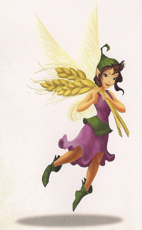 Pixie Hollow Fairy Types